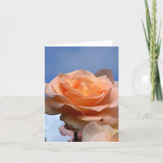 Carte rose