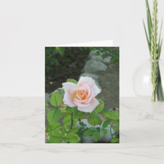 Carte Rose (Devant)