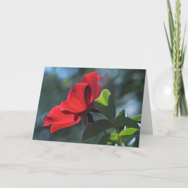Carte rose (Devant)