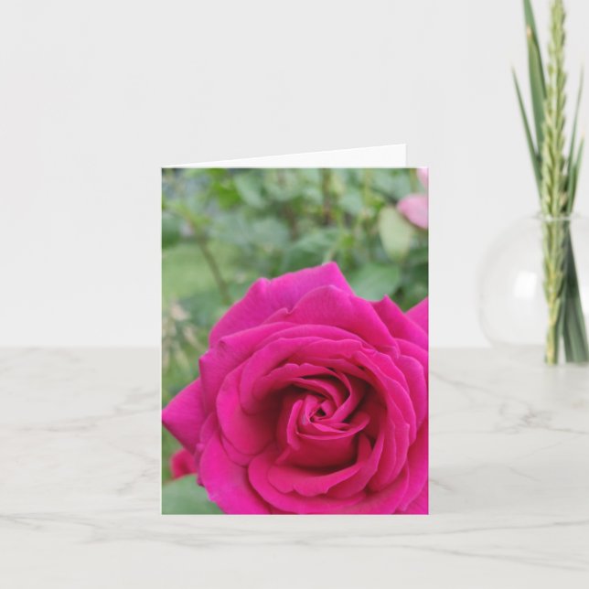 Carte rose (Devant)