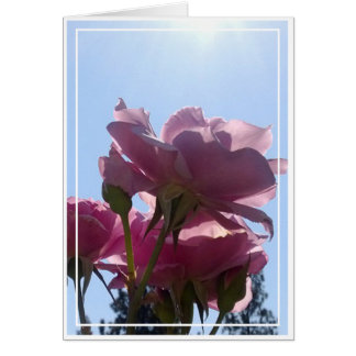 Carte rose, blanc, 7