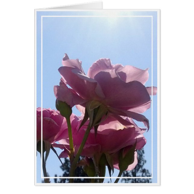 Carte rose, blanc, 7 (Devant)