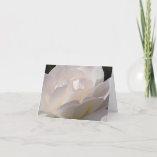 Carte Rose blanc de rougissement