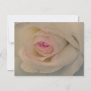 Carte Rose Blanche