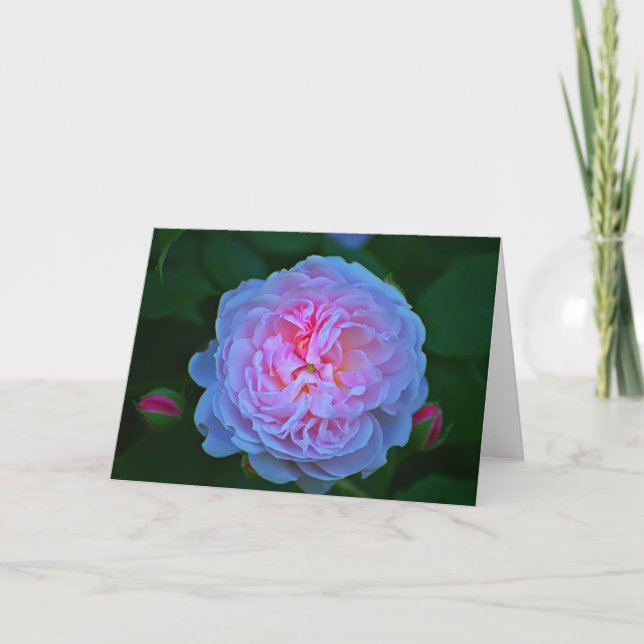 Carte rose blanche (Devant)