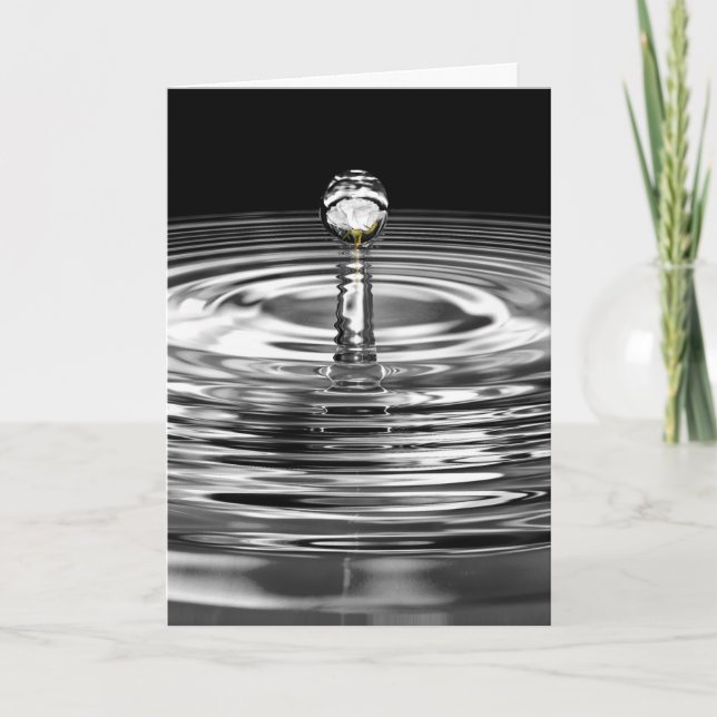 Carte Rose blanche dans le gouttelette d'eau (Devant)