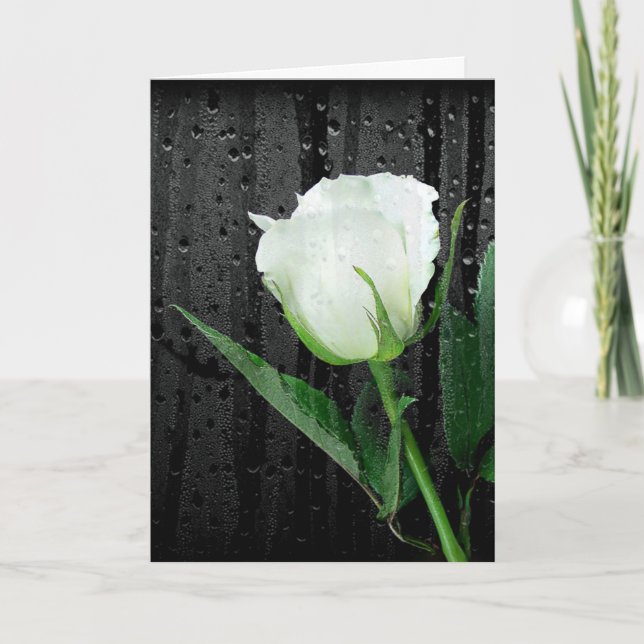 Carte Rose blanche sur noir avec gouttes de pluie (Devant)