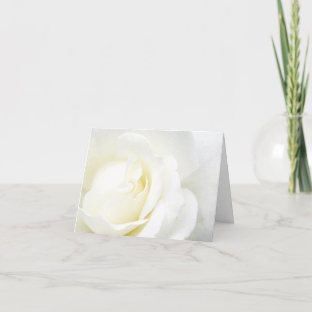 Carte Rose blanche toute occasion (Devant)