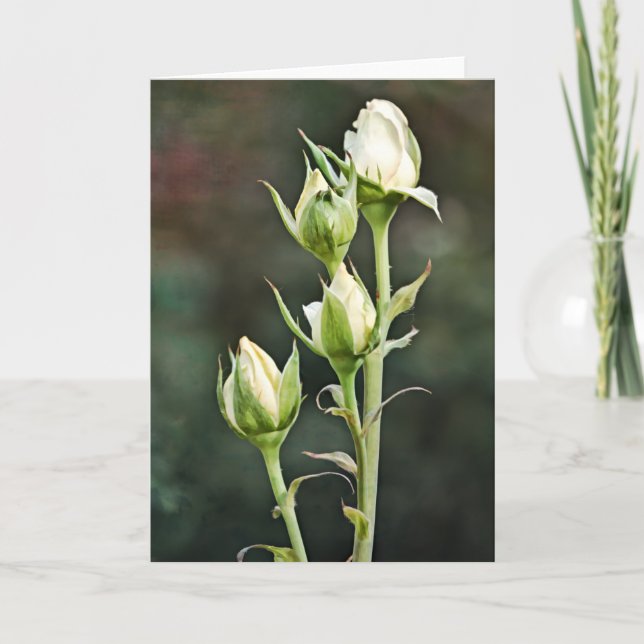 Carte rose Bud Bund Art Note (Devant)