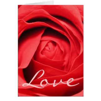 Carte rose d'amour