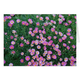 Carte rose de fleur