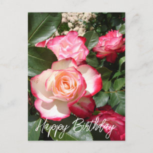 Carte Rose de fleurs Roses rouge et blanc