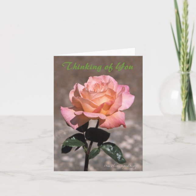 Carte Rose de la paix de Chicago (Devant)