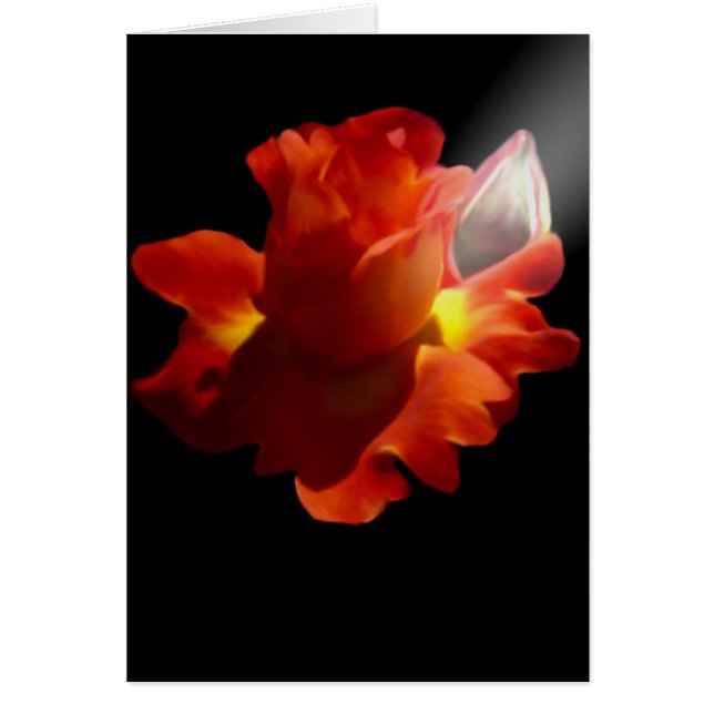 Carte rose de Lydia (Devant)