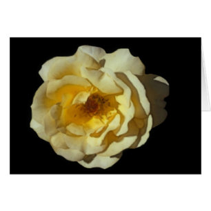 Carte rose de Mac de whiskey