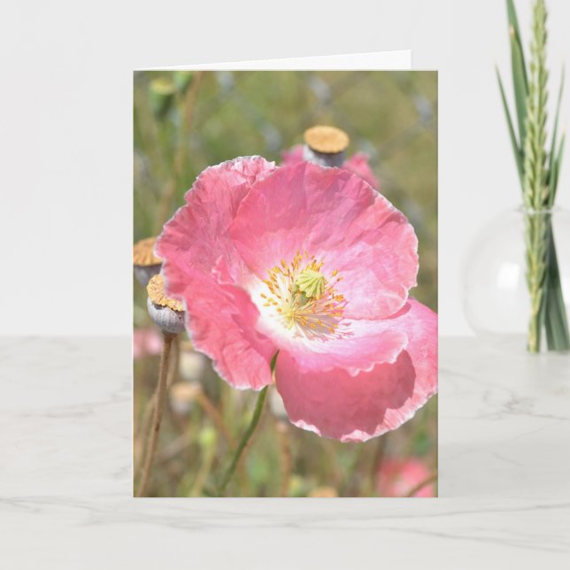 Carte rose de pavot et de barrière (Devant)