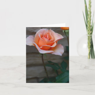 Carte Rose de plage