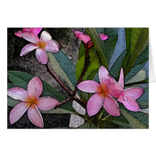 Carte rose de Plumeria