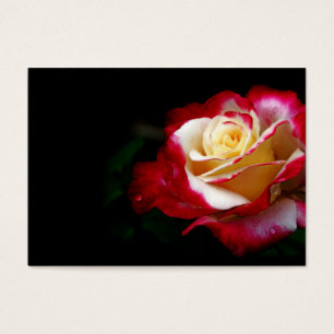 Carte rose de profil