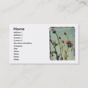 Carte rose de profil de chardon