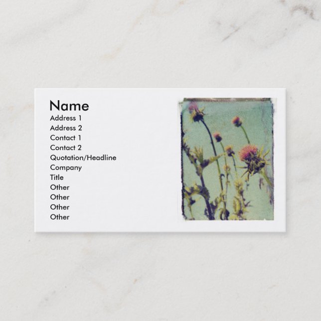 Carte rose de profil de chardon (Devant)