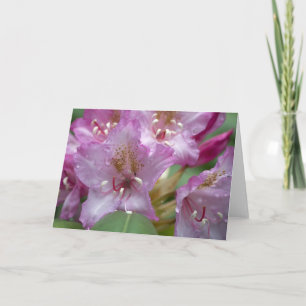 Carte rose de Rhody