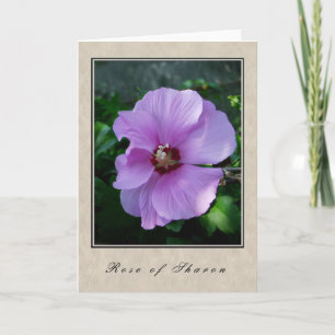 Carte Rose de Sharon - Floral Series