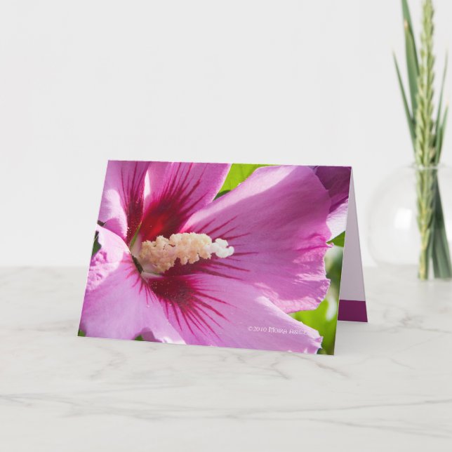 Carte Rose de Sharron (Devant)