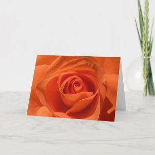 Carte rose de Valentine d'orange