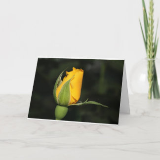 Carte rose d'inspiration avec le vers de bible