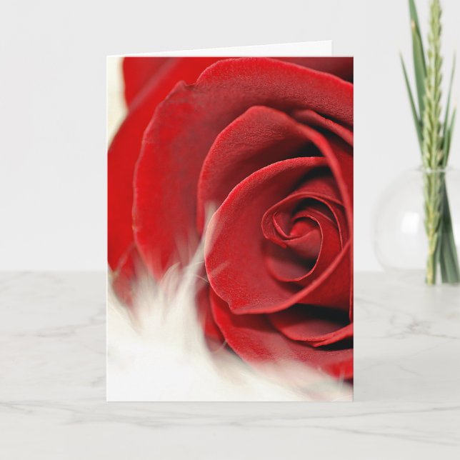 Carte rose du 50e anniversaire à la fourrure (Devant)