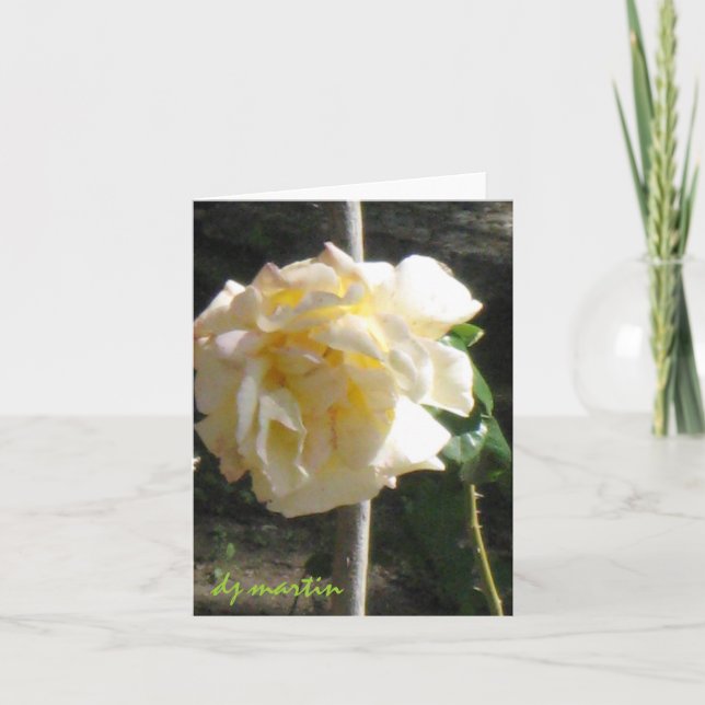 Carte Rose du Texas (Devant)
