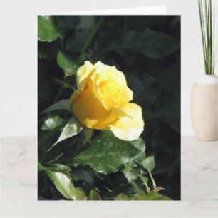 Carte Rose jaune simple élégante et sobre en fleur