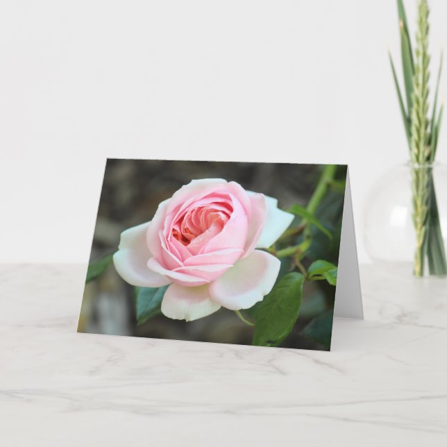 Carte Rose "Joie de Vivre", Roath Park, Cardiff (Devant)