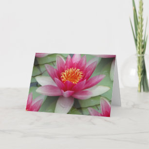 Carte Rose Lotus Water Lily