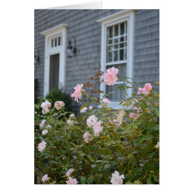 Carte Rose Nantucket (Devant)