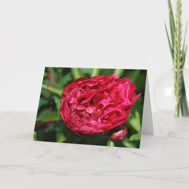 Carte Rose Peony (Devant)