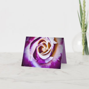 Carte Rose Pourpre