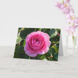 Carte Rose rose "maman dans un million", Roath Park, Car