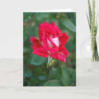 Carte Rose rouge