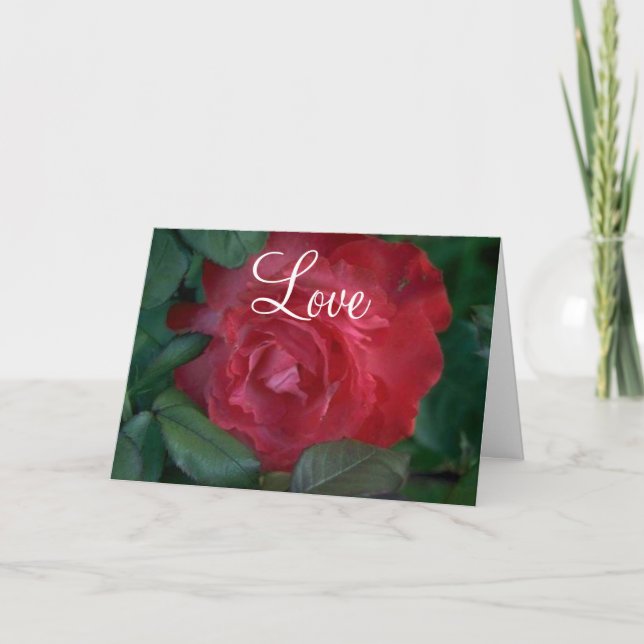 Carte Rose rouge (Devant)