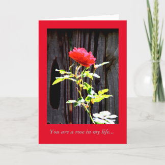 Carte Rose rouge à l'express appréciation ou amour