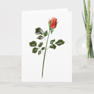 Carte Rose rouge à tige longue