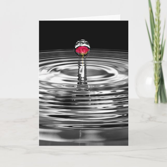 Carte rose rouge anniversaire de la goutte d'eau (Devant)