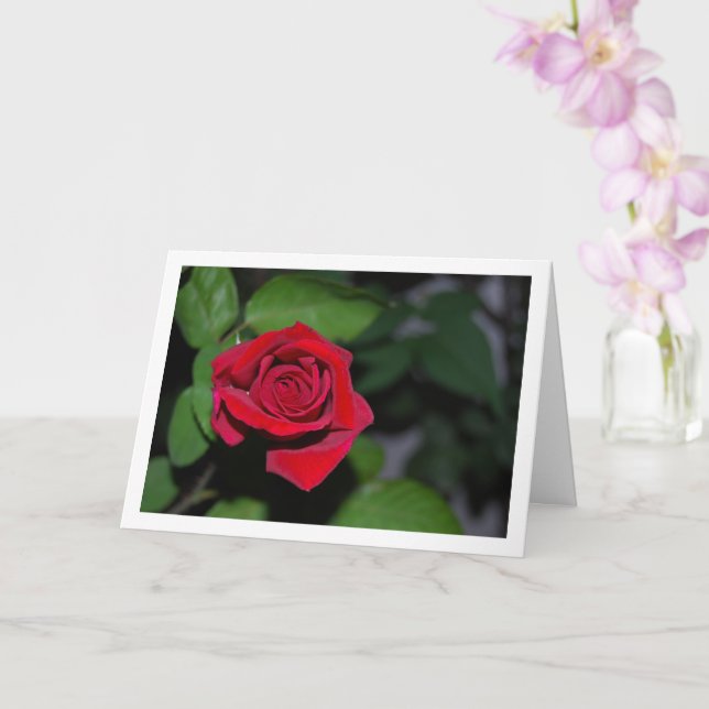 Carte Rose rouge simple et Feuilles verts (Orchidée)