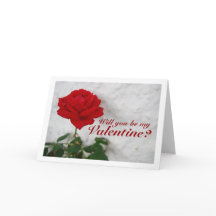 Rose rouge sur mur blanc