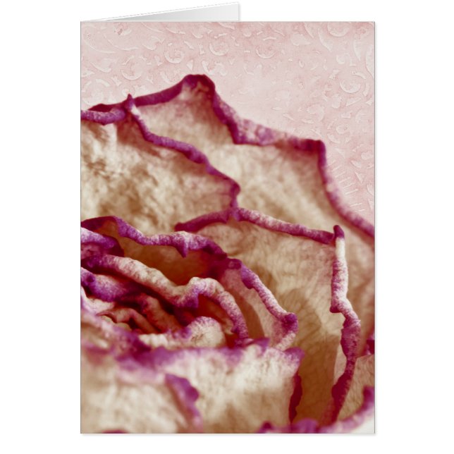 Carte rose séchée (Devant)