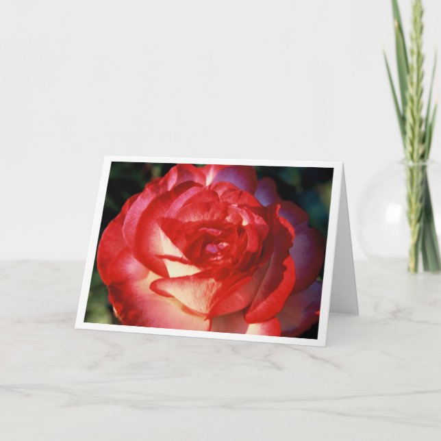 Carte Rose variable (Devant)
