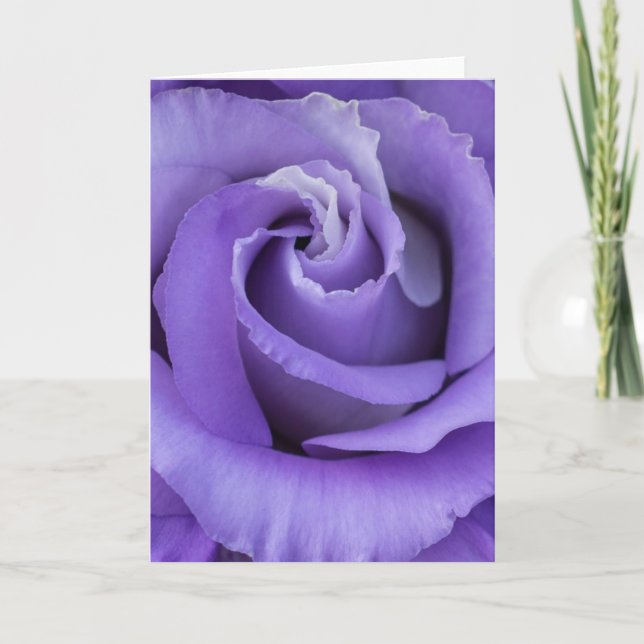 Carte Rose violet (Devant)