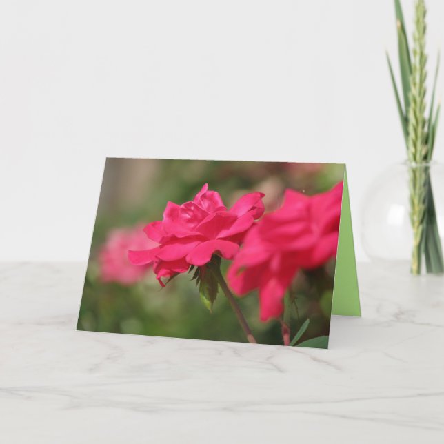 Carte Roses (Devant)